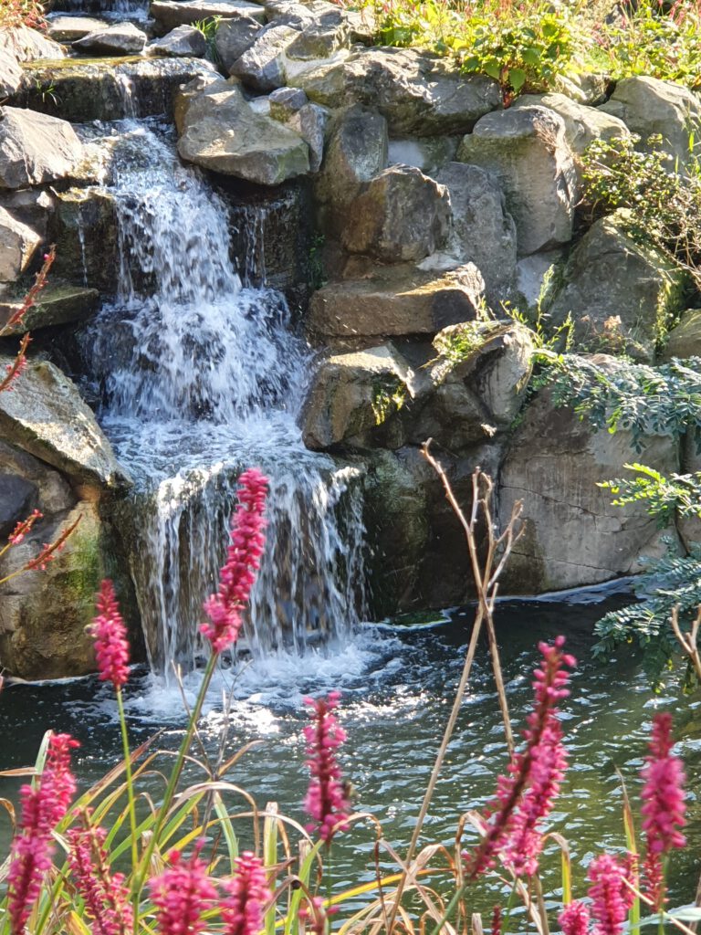 Zoo Köln