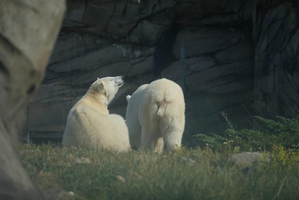 Zoo Rostock