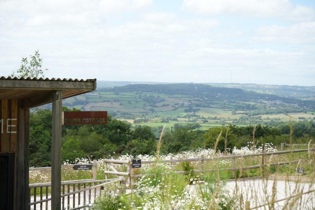 Axe Valley Wildlife Park