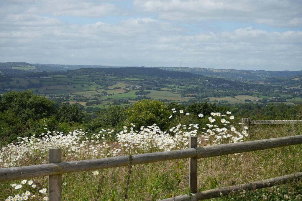 Axe Valley Wildlife Park