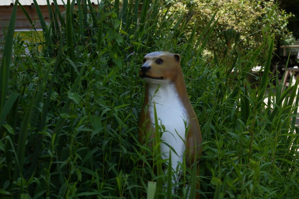 Axe Valley Wildlife Park