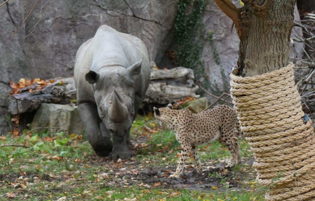 Zoo Leipzig