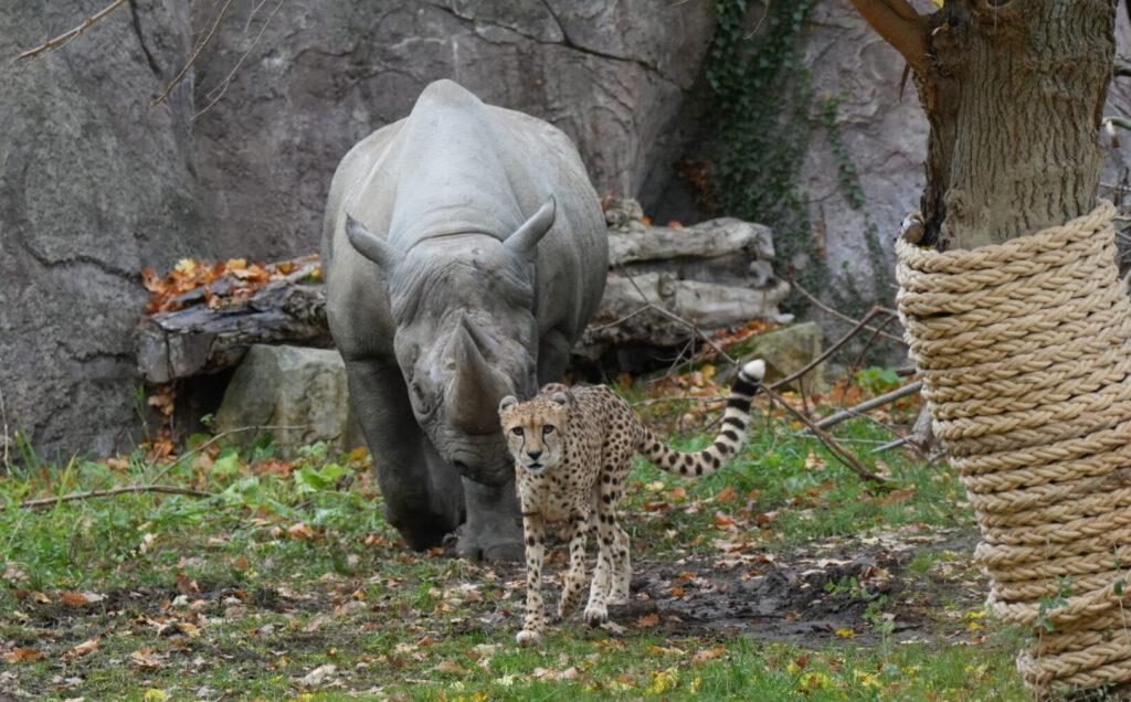 Zoo Leipzig