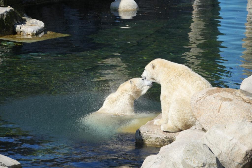 Zoo am Meer
