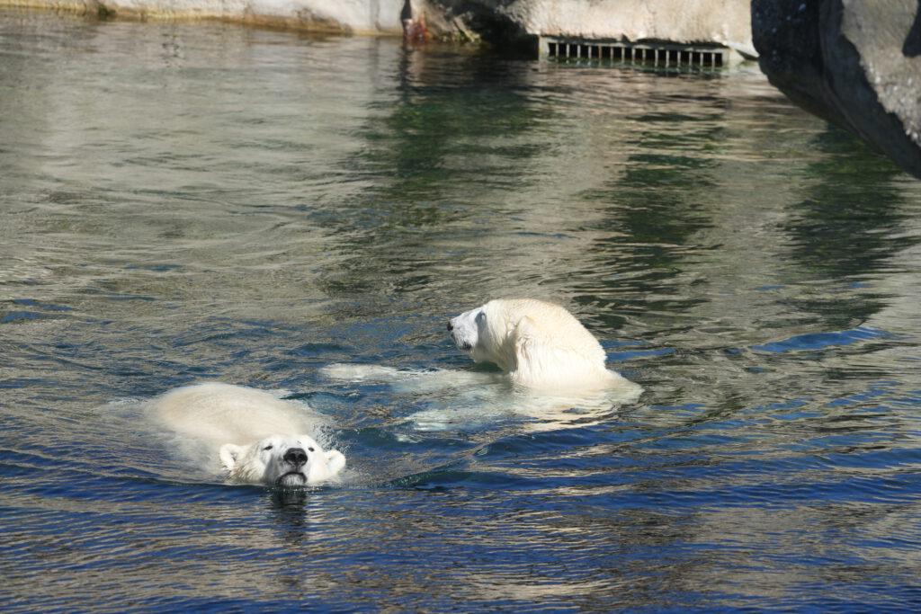 Zoo am Meer