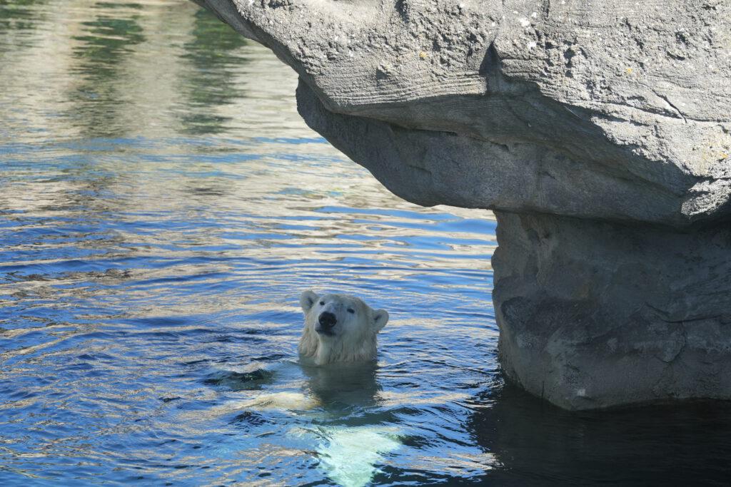 Zoo am Meer