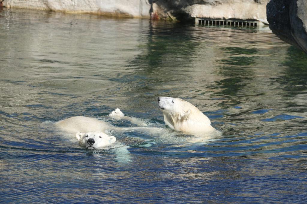 Zoo am Meer