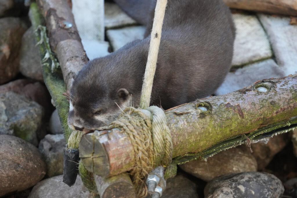Zoo am Meer
