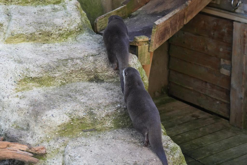 Zoo am Meer