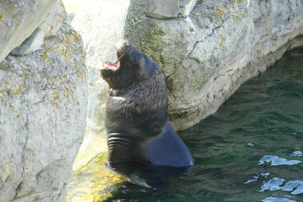 Zoo am Meer