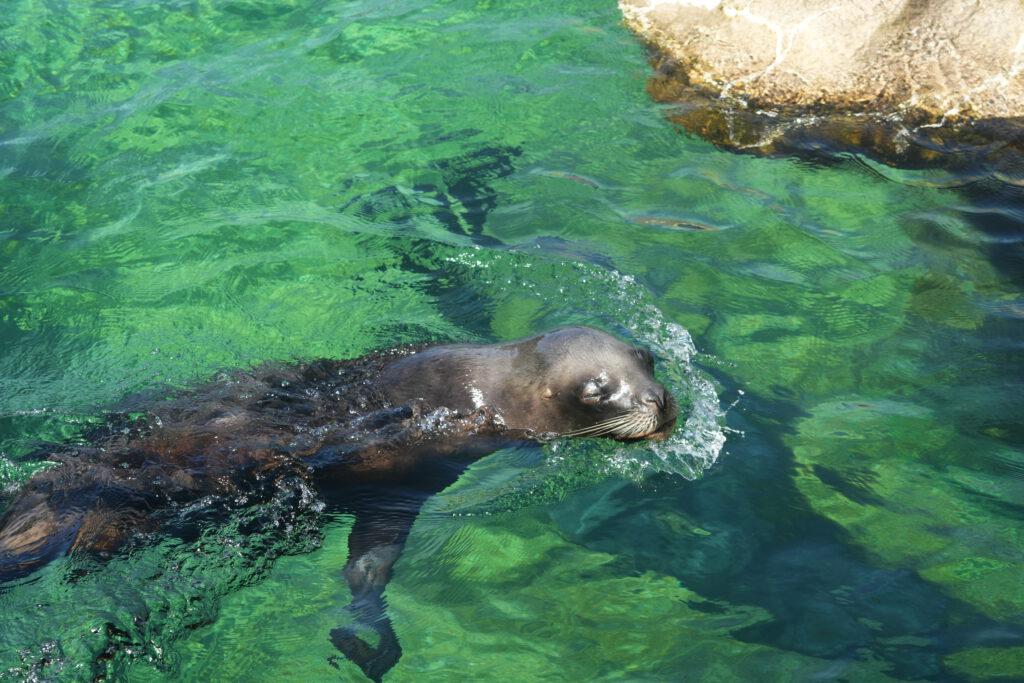 Zoo am Meer