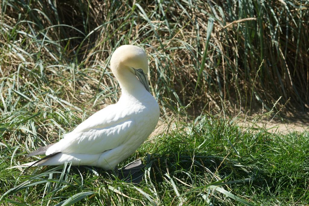 Zoo am Meer