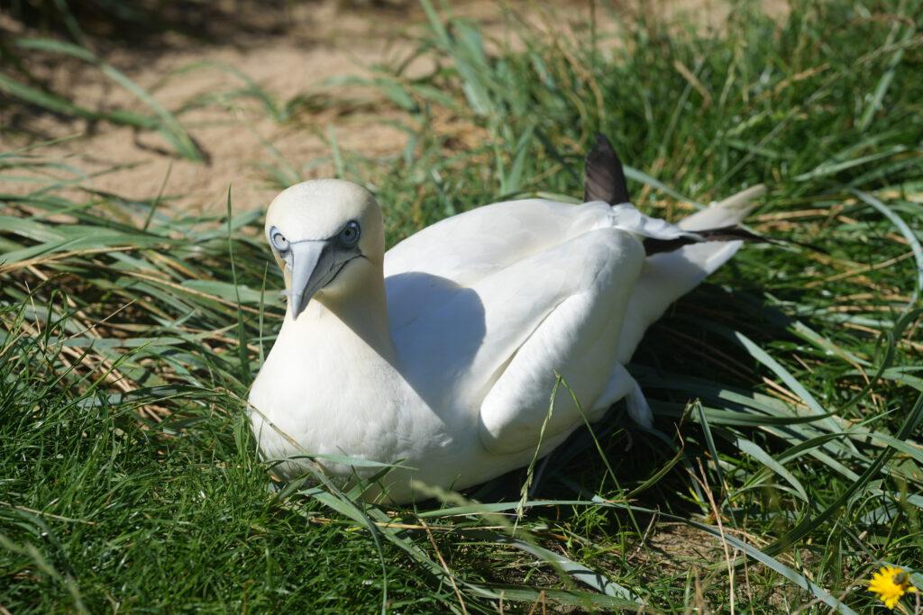 Zoo am Meer