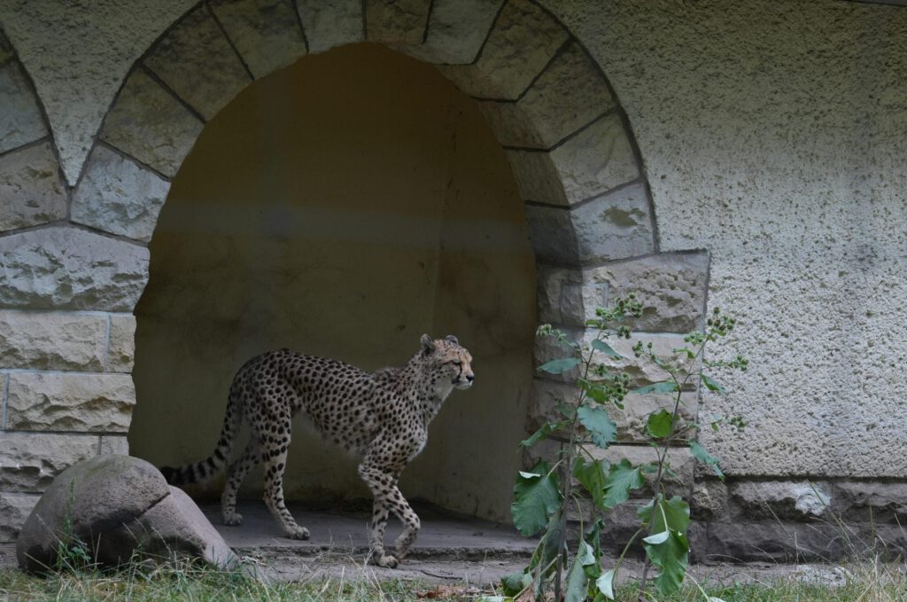 Zoo Dresden