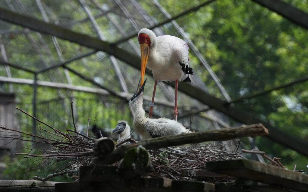 Zoo Dresden