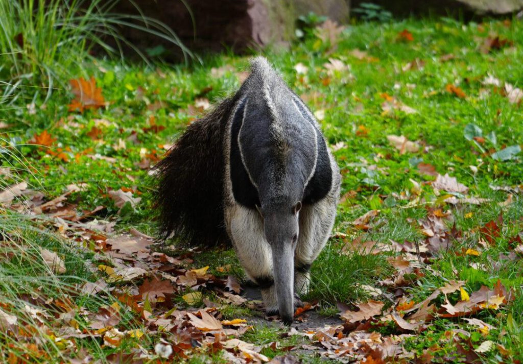 Zoo Leipzig