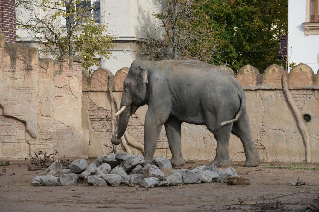 Zoo Leipzig