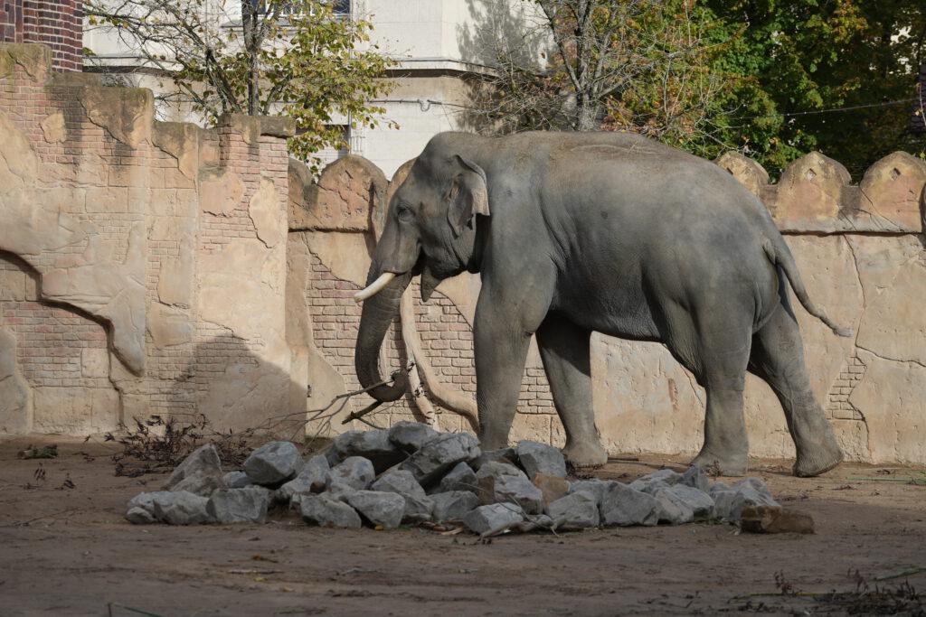 Zoo Leipzig