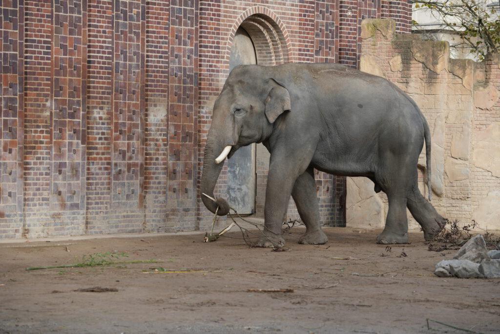 Zoo Leipzig