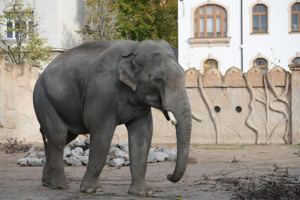 Zoo Leipzig