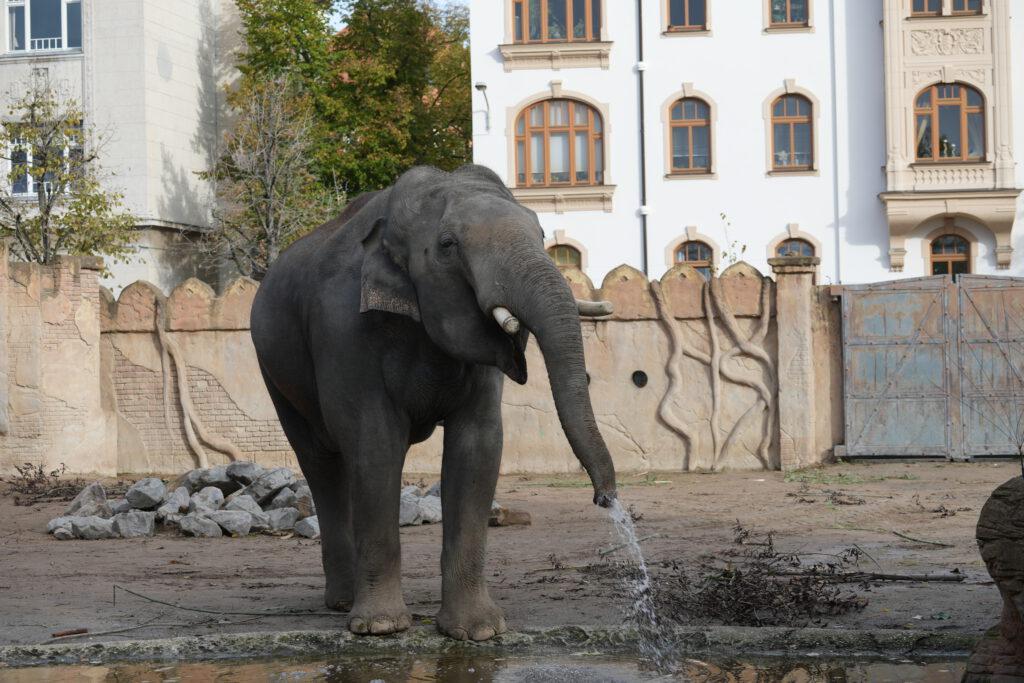 Zoo Leipzig