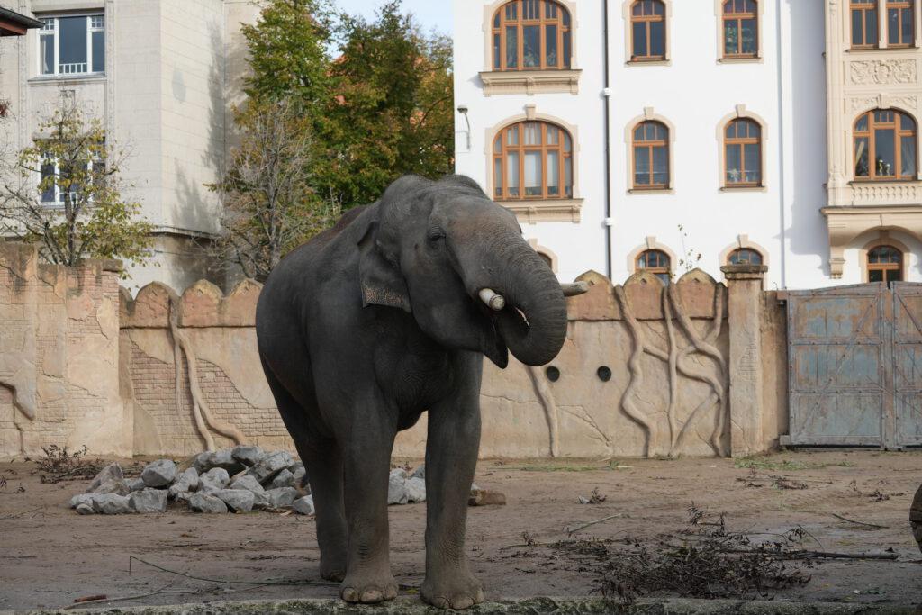 Zoo Leipzig