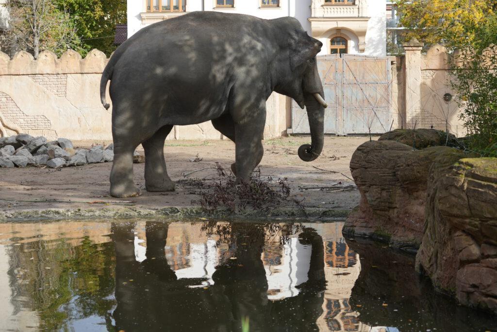 Zoo Leipzig