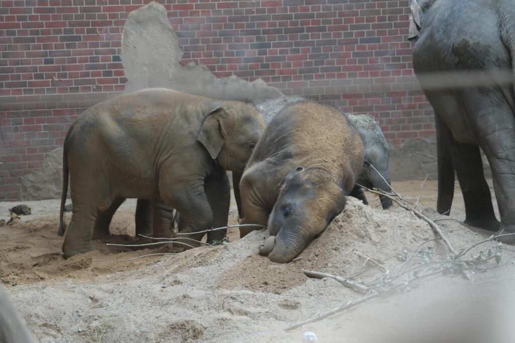 Zoo Leipzig