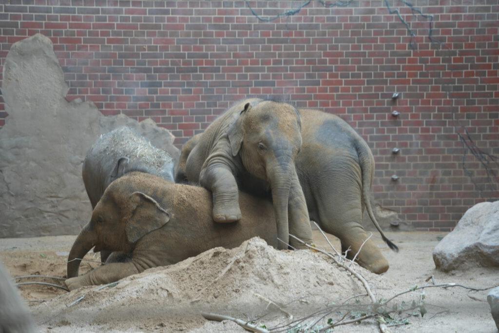 Zoo Leipzig