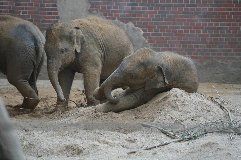 Zoo Leipzig