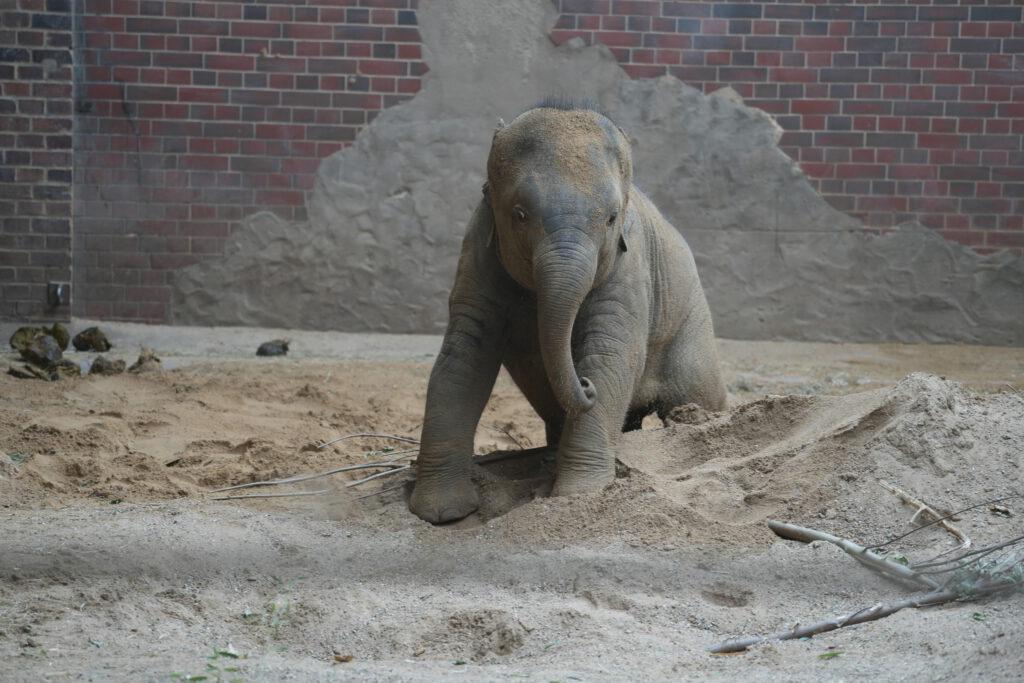 Zoo Leipzig