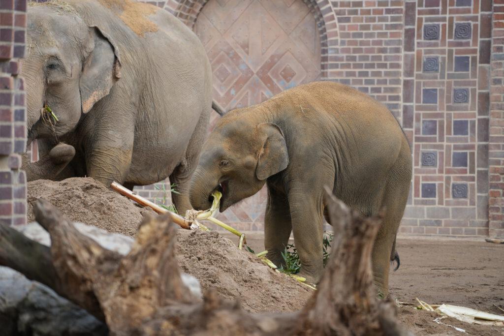 Zoo Leipzig