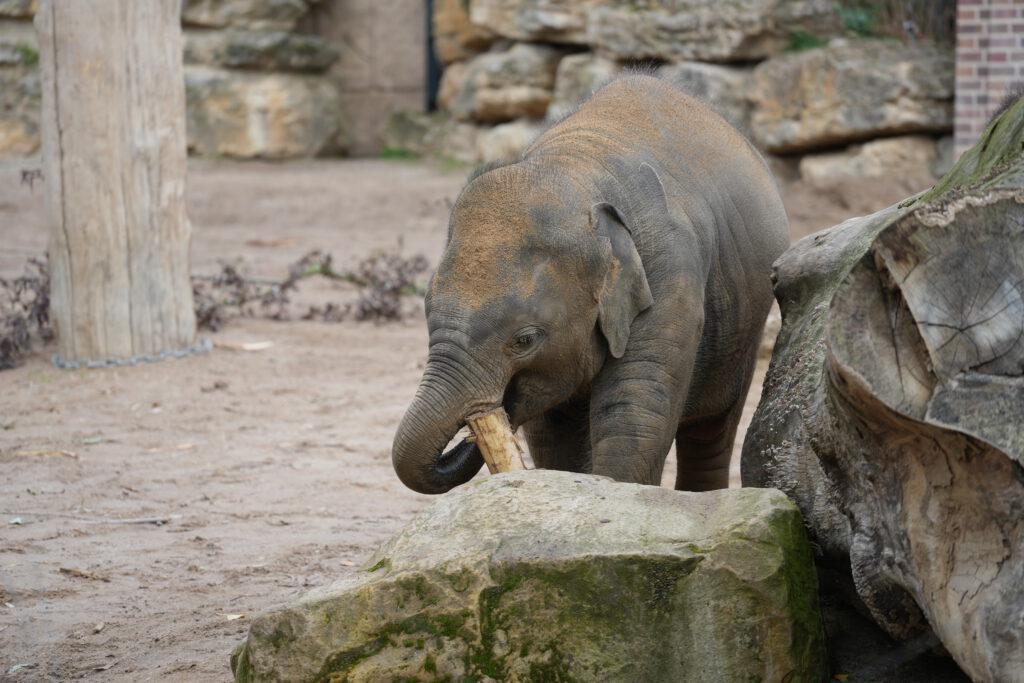 Zoo Leipzig
