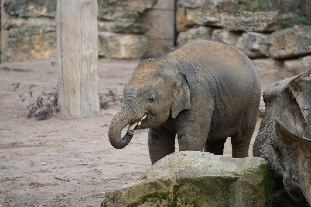 Zoo Leipzig