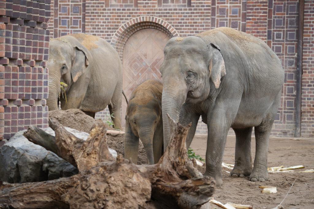 Zoo Leipzig