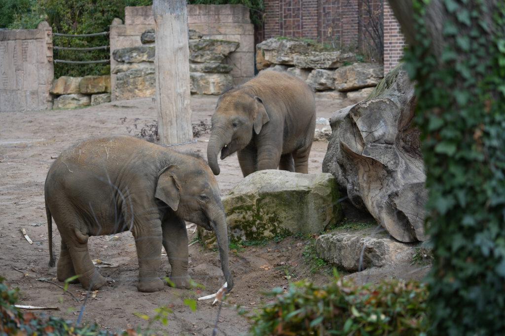 Zoo Leipzig