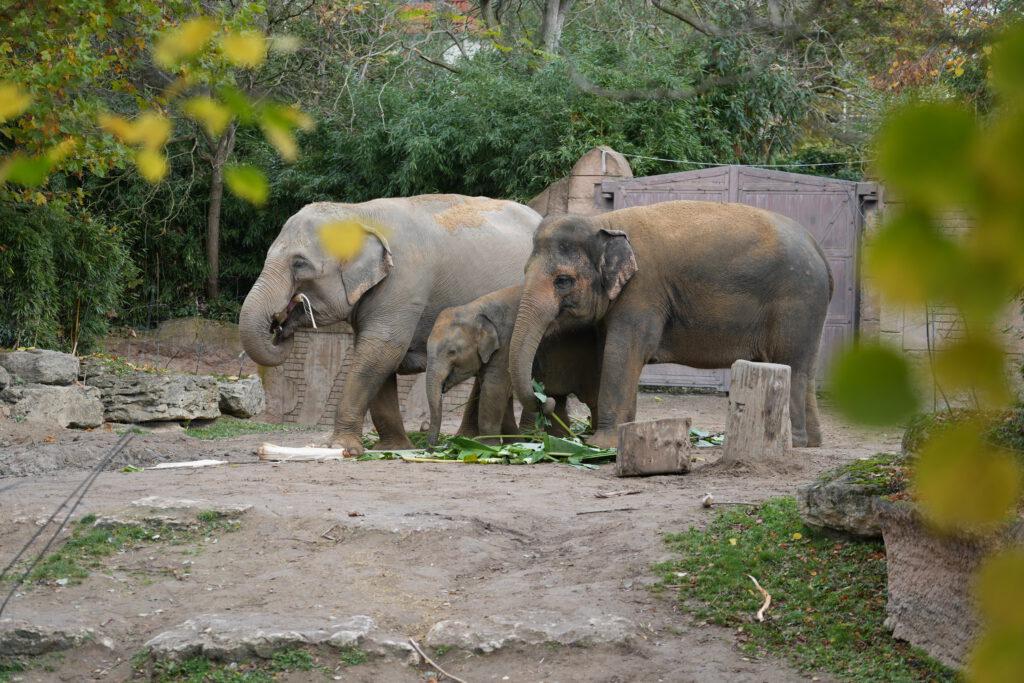 Zoo Leipzig
