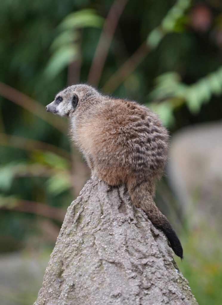 Zoo Leipzig