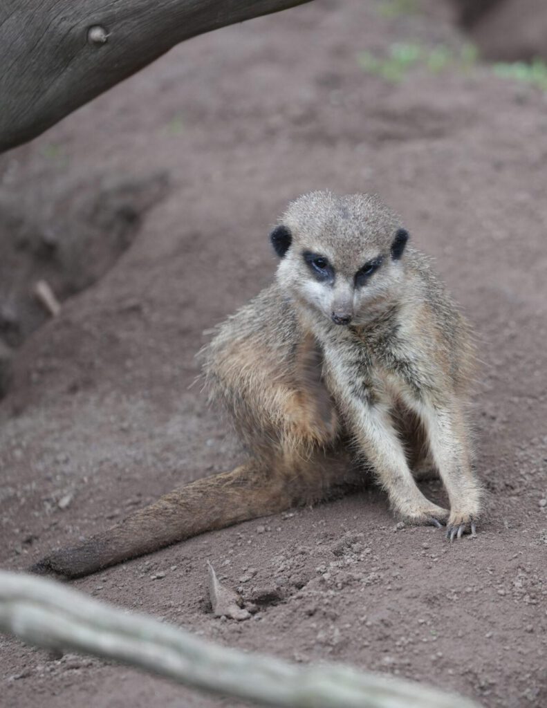 Zoo Leipzig