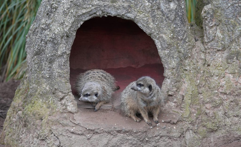 Zoo Leipzig