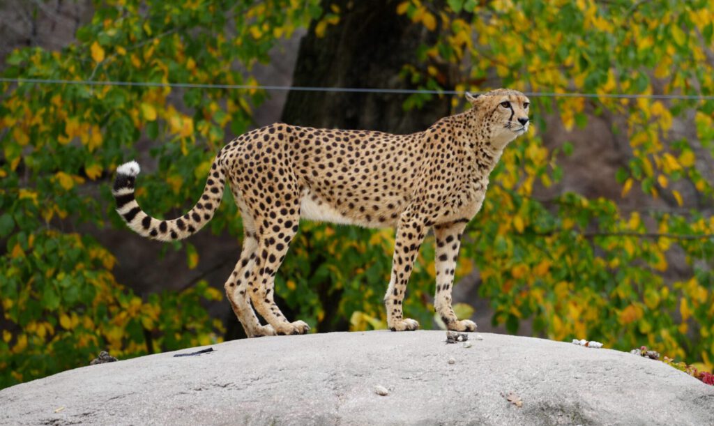Zoo Leipzig