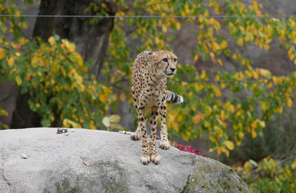 Zoo Leipzig