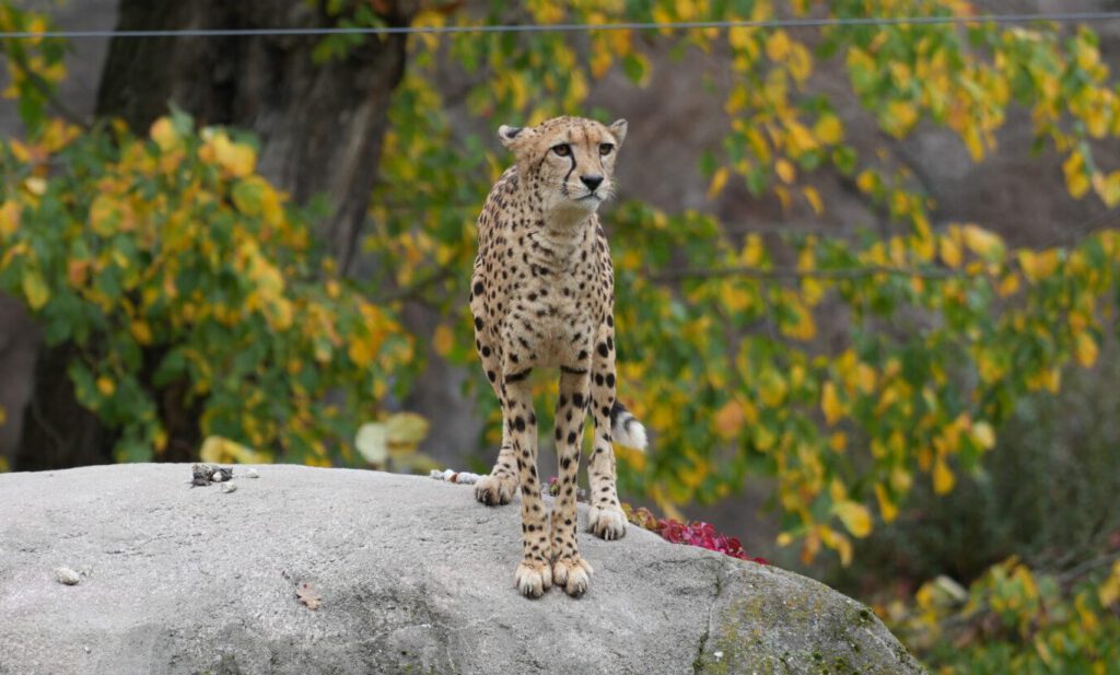 Zoo Leipzig
