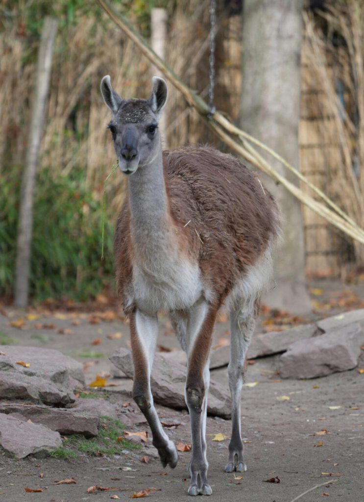 Zoo Leipzig
