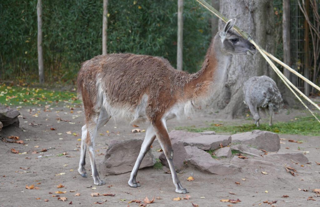 Zoo Leipzig