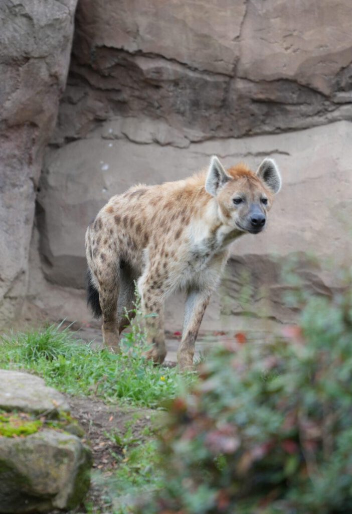 Zoo Leipzig