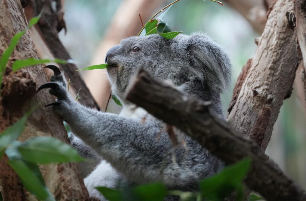 Zoo Leipzig