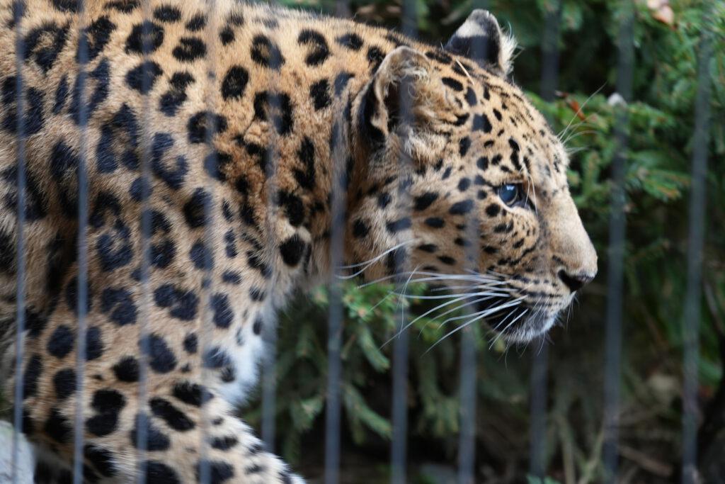 Zoo Leipzig