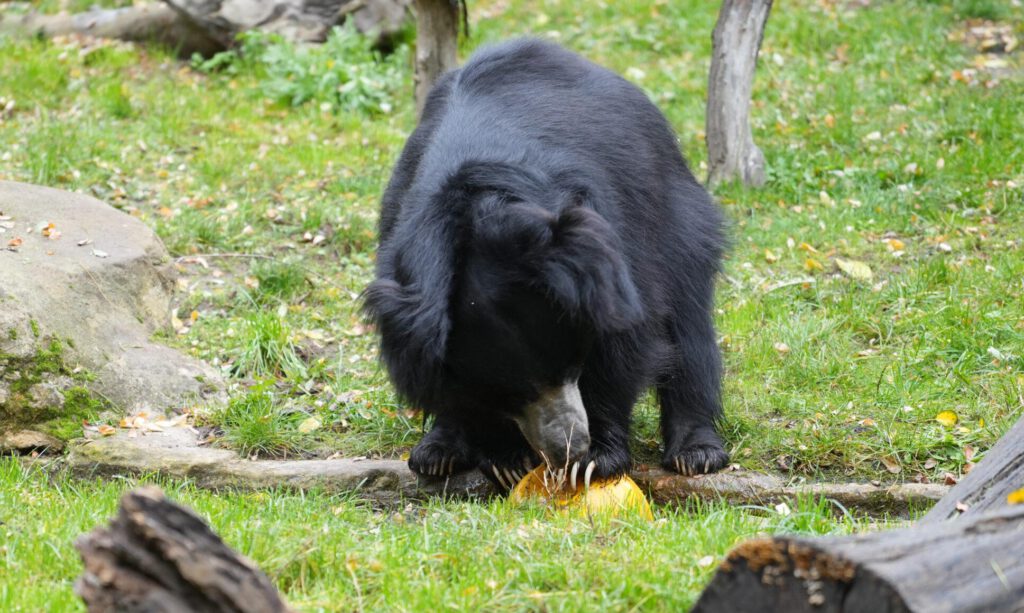 Zoo Leipzig
