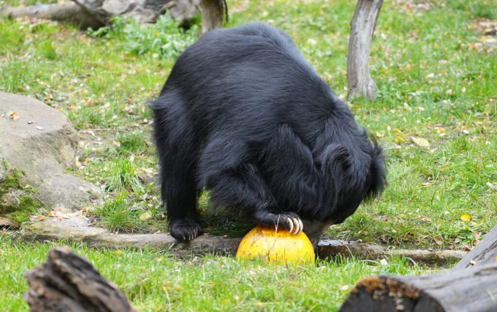 Zoo Leipzig